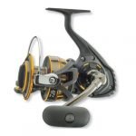 Daiwa BG