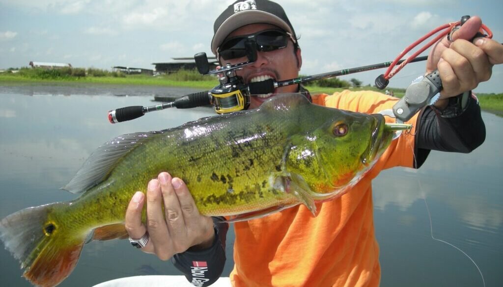 How To Catch Bass The Best Fishing Tips No One Told You